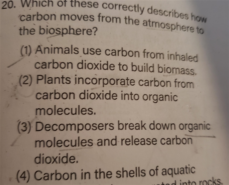 Hi, I need help with my homework and it's on the carbon cycle.-example-1