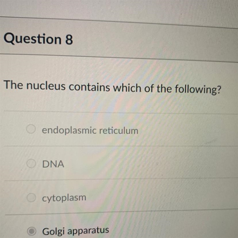 The nucleus contains which of the following? endoplasmic reticulum DNA cytoplasm Golgi-example-1