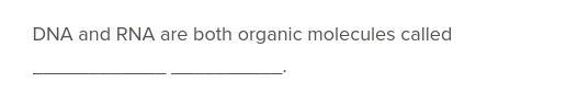 DNA and RNA are both organic molecules called-example-1