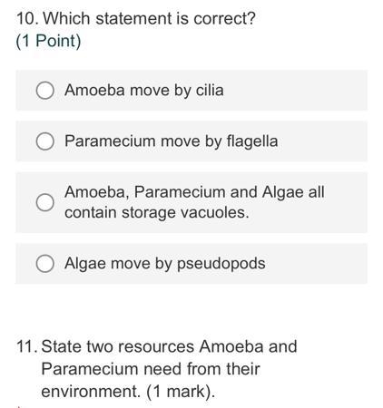 Both 10 and 11 please i need the answers thankyou-example-1