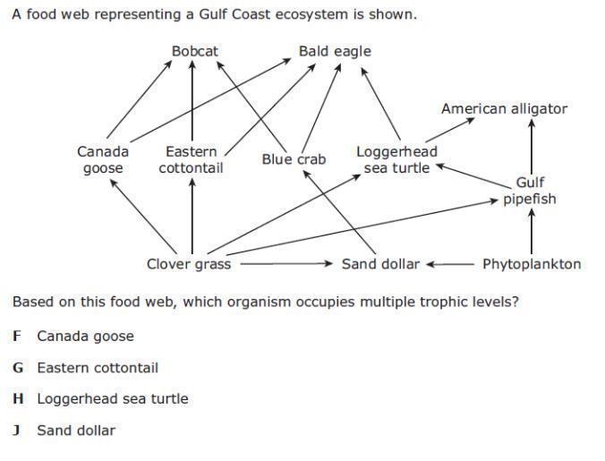 4 easy biology questions !! please helppp!!! **attachments provided ive reposted this-example-1