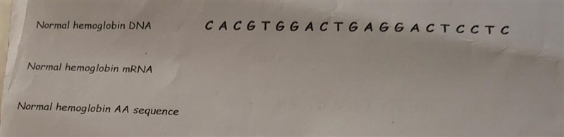 Please help me :(, i need help​-example-1