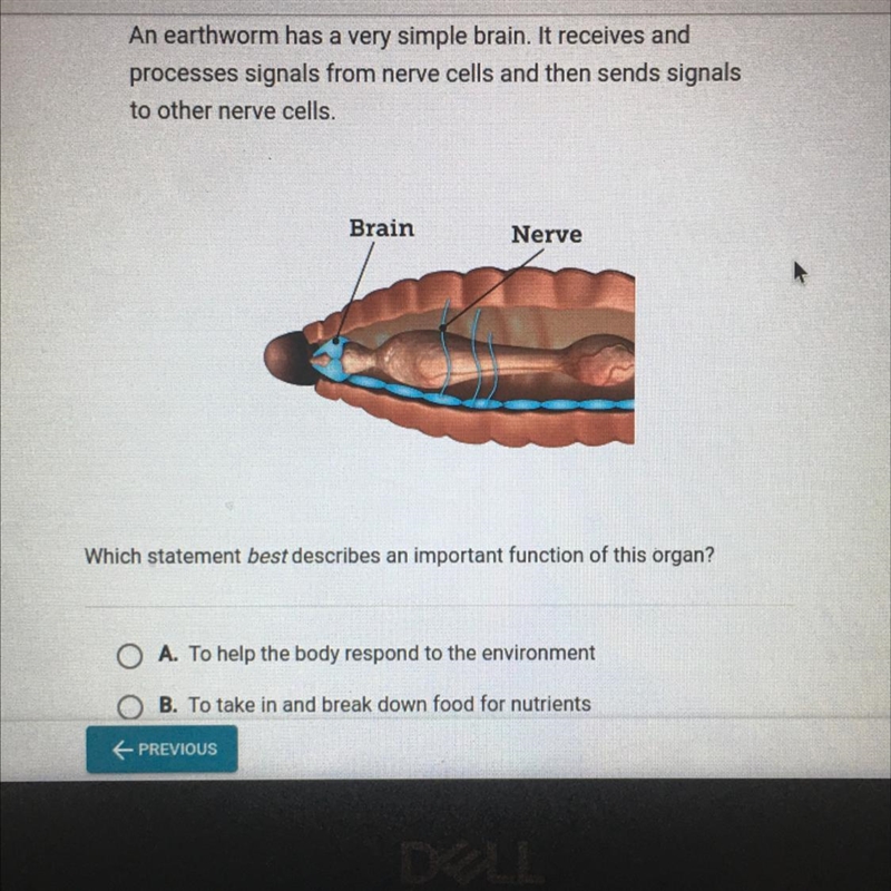 Can someone plz help me? :( Which statement best describes an important function of-example-1