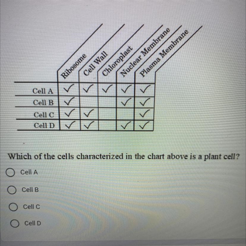 Which of the cells characterized in the chart above is a plant cell?-example-1