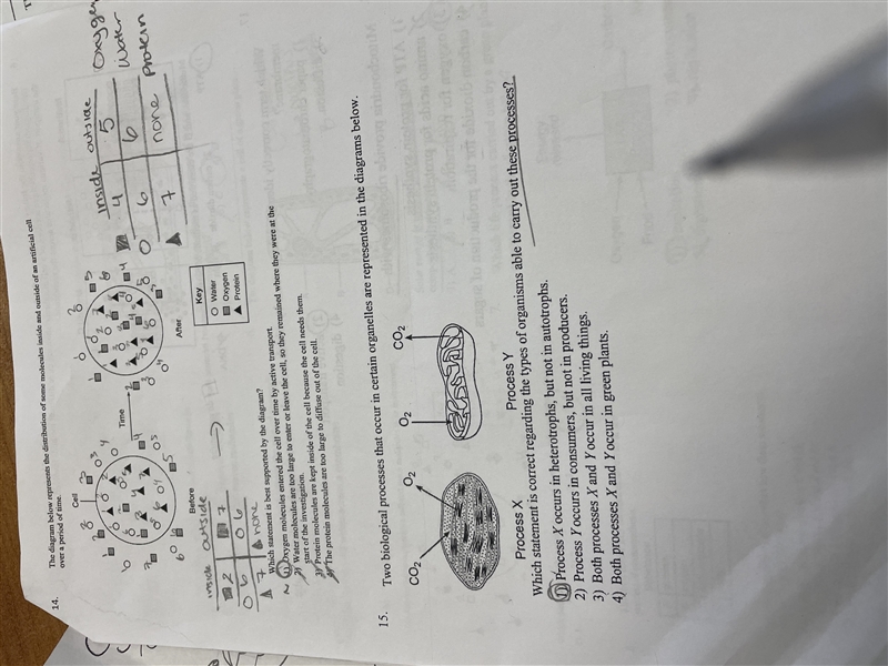 What is the correct answer-example-1