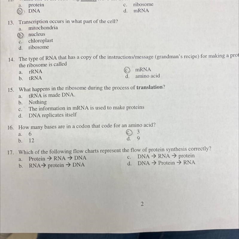 I NEEDDD HELP IN NUMBER 17-example-1