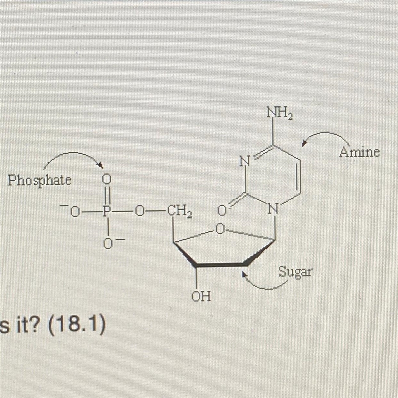 Refer to the diagram below. Which type of biomolecule is it? A. Carbohydrates B. Lipids-example-1