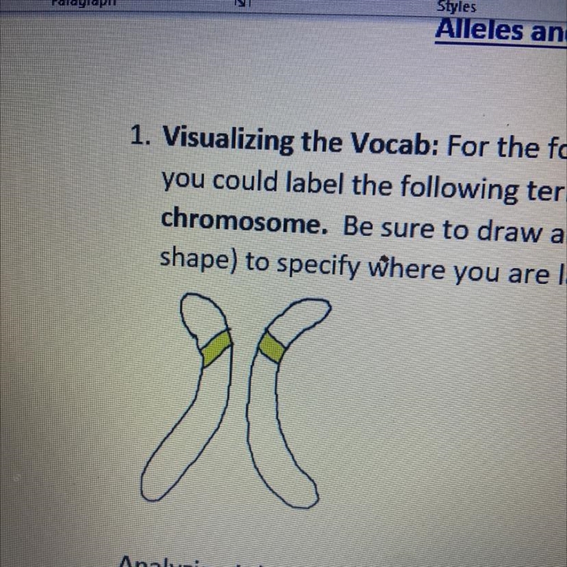 Alleles and Genes 1. Visualizing the Vocab: For the following picture, determine where-example-1