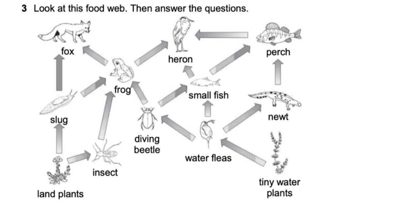 I need to turn this into a food chain, but after land plants there’s 2 so do I write-example-1