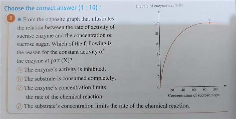 Can someone explain it plz??​-example-1