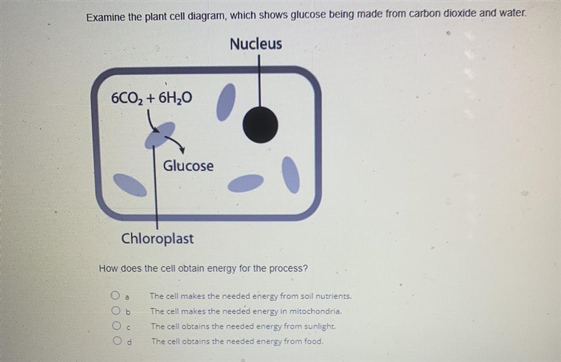 How does the cell obtain energy for the process?-example-1