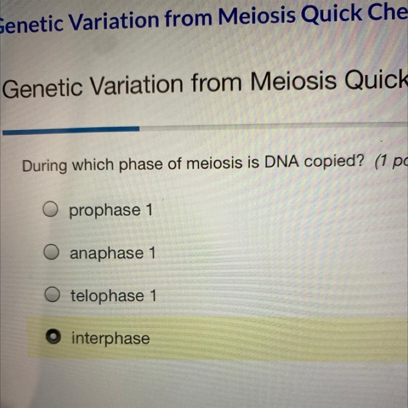 During which phase of meiosis is DNA copied? (1 point)-example-1