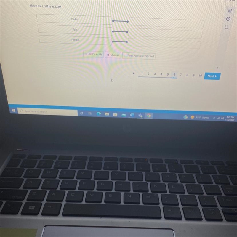 Match the LOM to its SOM. Carbs Fats Protein III :: Amino Acids :: Glucose :: Fatty-example-1
