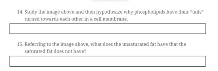 Help!!!! 55 points!!! Quickly!!-example-2