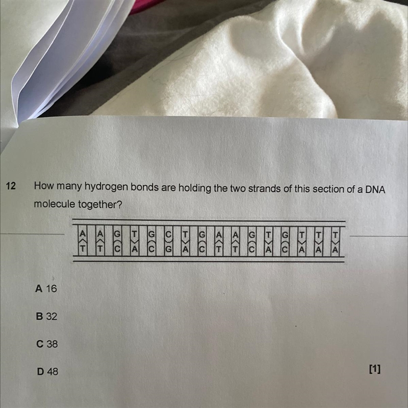 A. 16 B. 32 C. 38 D. 48-example-1