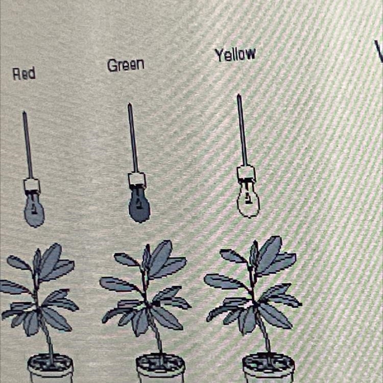 What is the independent variable in the above experiment-example-1