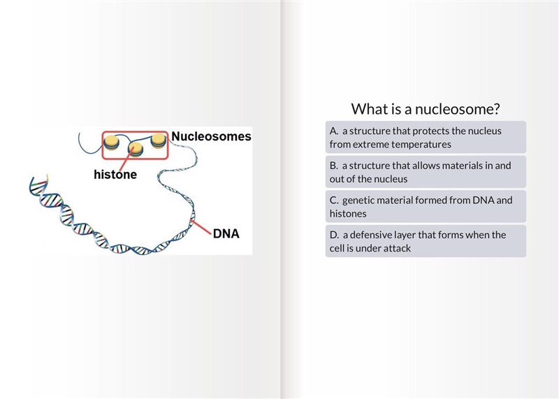 What is a nucleosome?-example-1