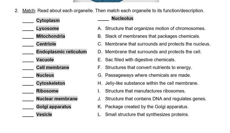 Anyone help? im having trouble-example-1