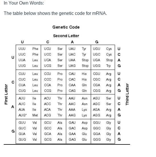 Can I get help Plz??? THIS IS DUE TODAY IN 20 MIN!!! I don't understand this at all-example-1