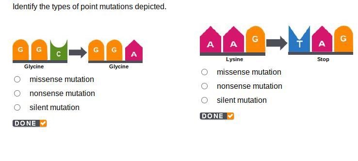 Biology pls help :( I need to pass this and need help :((-example-1