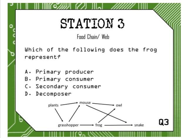 Which of the following does the frog represent?-example-1