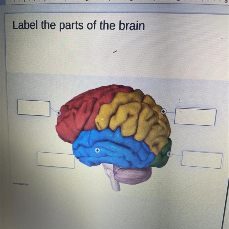 I need help with this-example-1