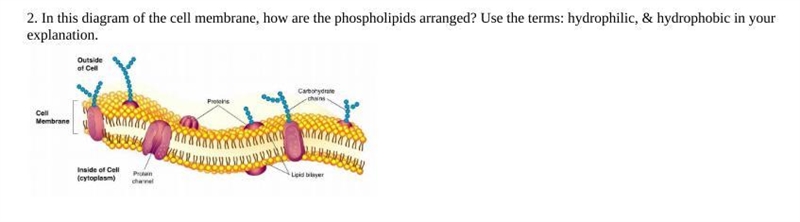 Pls help, need answers asap-example-1