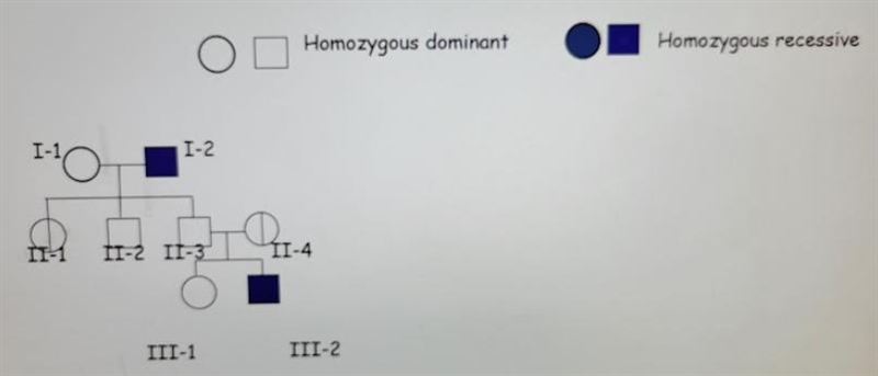 For the trait being followed in the pedigree, individuals II-1 and II-4 can be classified-example-1