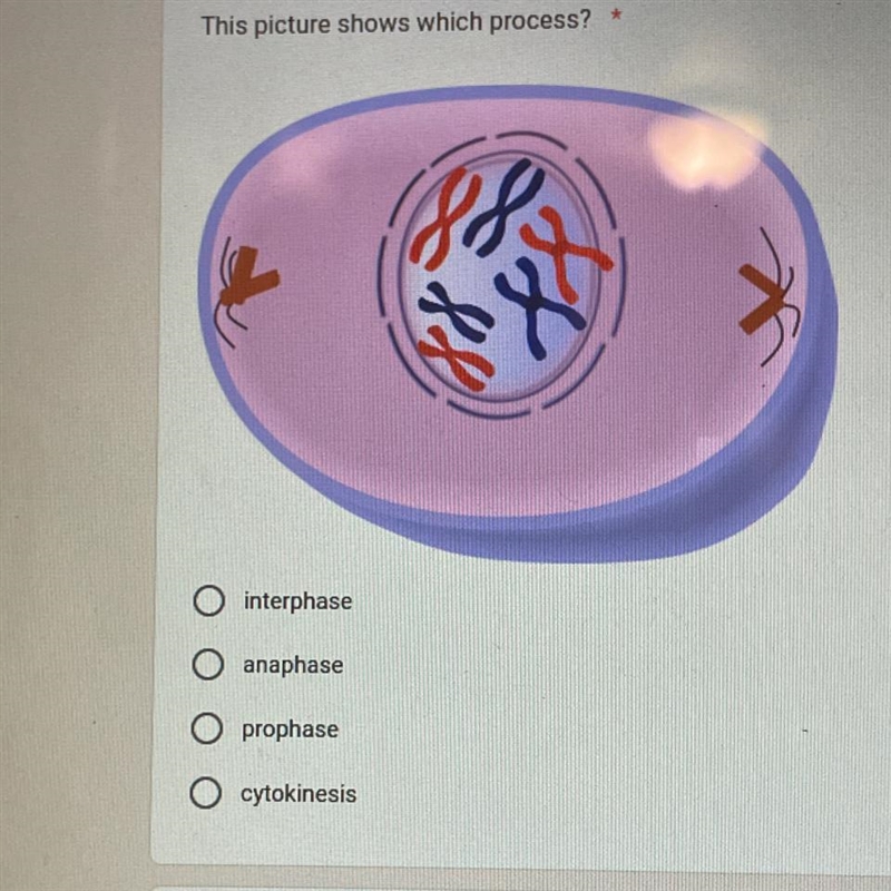 What process of mitosis is this?-example-1