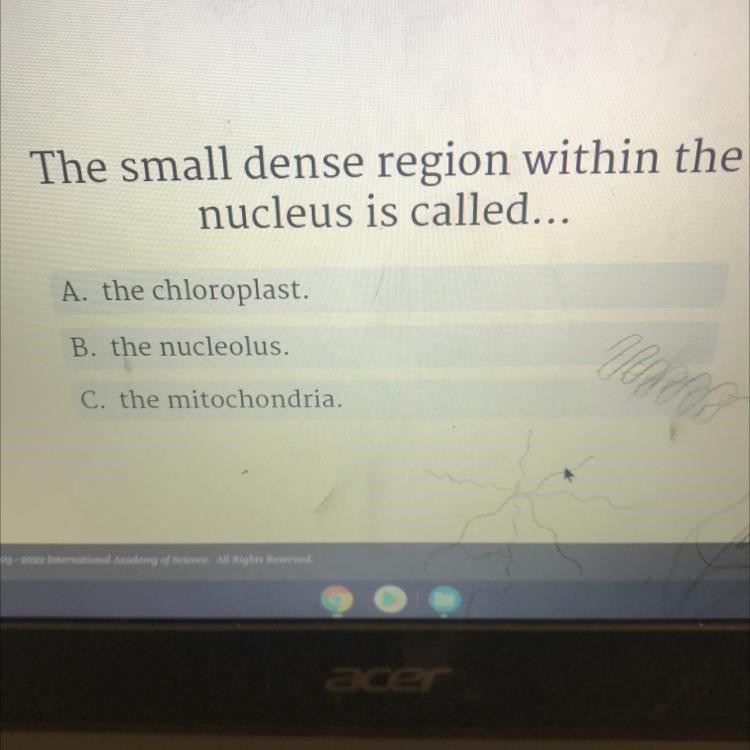 The small dense region within the nucleus is called... A. the chloroplast. B. the-example-1