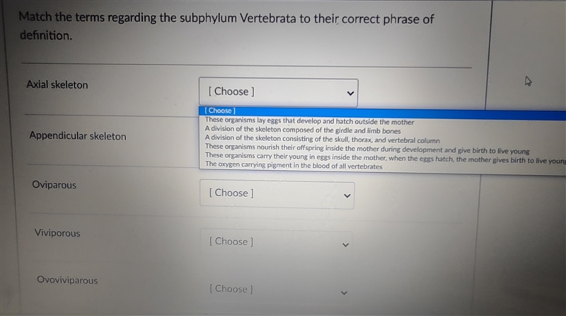 Match the terms regarding the subhylum Vertebrata to their correct phase of definition-example-1