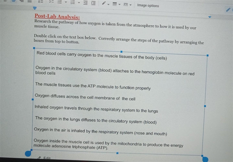 Post-Lab Analysis: Research the pathway of how oxygen is taken from the atmosphere-example-1