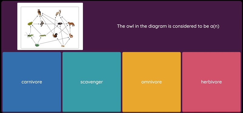 The owl in this diagram is considered to be a carnivore scavenger omnivore herbivore-example-1