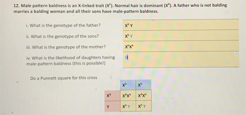 Alleles practice: Am i right? though it says this is possible-example-1