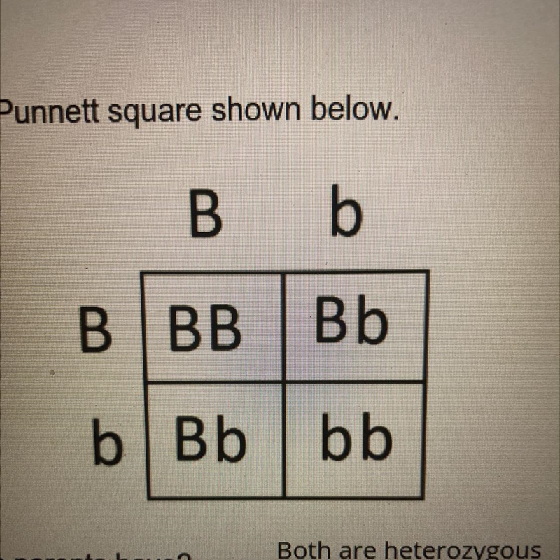 If b is dominant over b, list the offspring that will exhibit or show the dominant-example-1