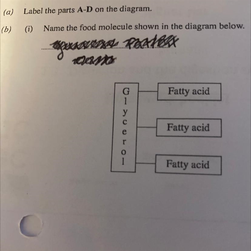 Name the food molecule shown in the diagram below.-example-1