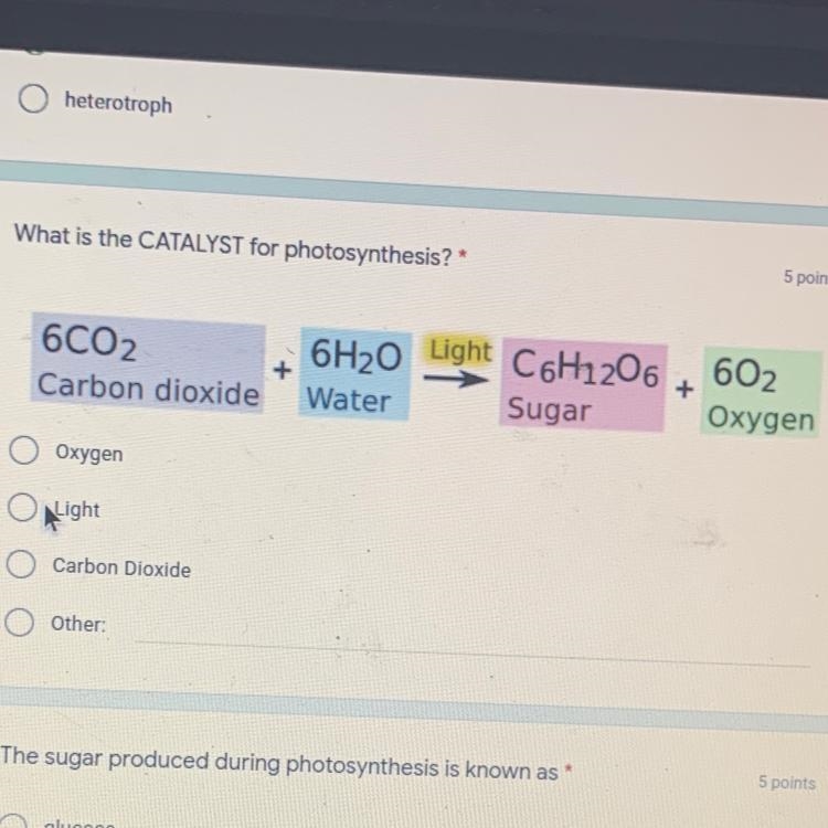 What is the catalyst for photosynthesis?-example-1