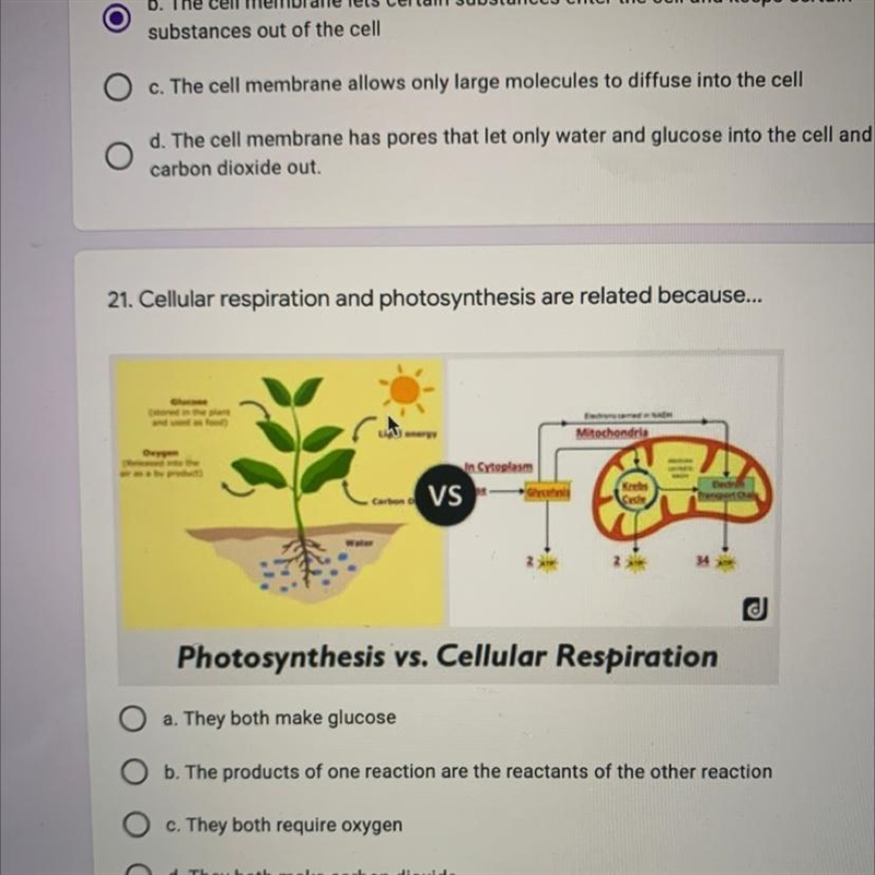 Someone help and answer. Cellular respiration and photosynthesis are related because-example-1