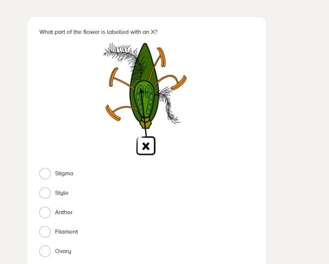 Which part of the flower is labeled with an x-example-1