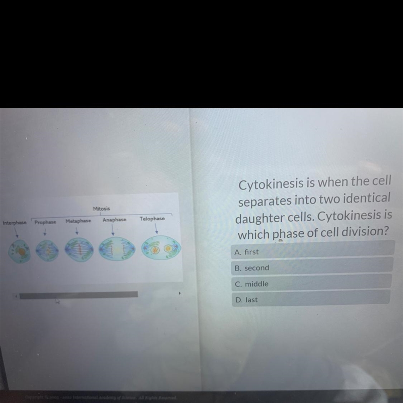 Cytokinesis is when the cell separates into two identical daughter cells. Cytokinesis-example-1