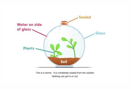 Check the picture. Water has formed from condensation. This water comes from what-example-1