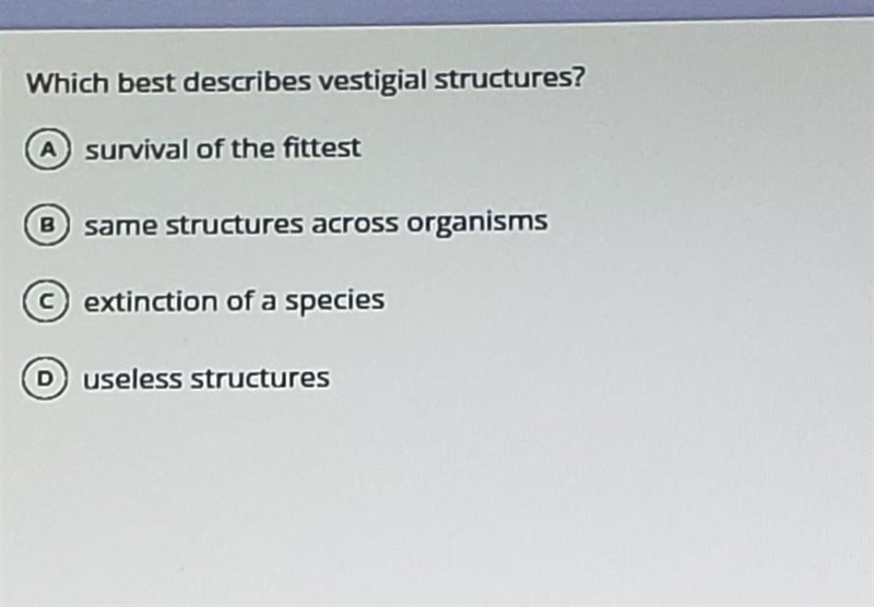 Which best vestigial structures ​-example-1