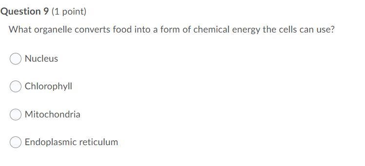 What is the cell cycle? Question 6 options: The time a cell spends actively dividing-example-3