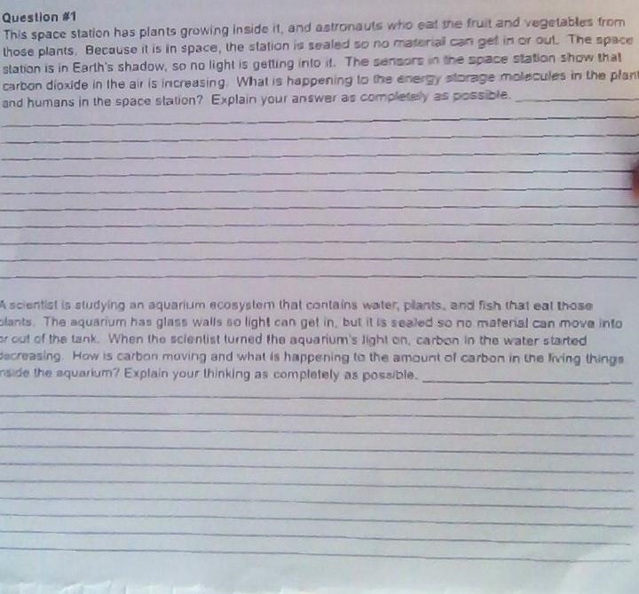 Please help me, I DESPERATELY NEED ANSWERS for these two essay questions. And please-example-1