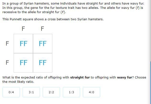 What is the expected ratio of offspring with straight fur to offspring with wavy fur-example-1