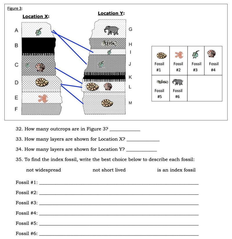 Not Biology but Science - 8th Grade To find the index fossil, write the best choice-example-1