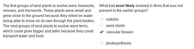 The first groups of land plants to evolve were liverworts, mosses, and hornworts. These-example-1