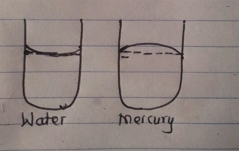 Which statement correctly describes measuring with a graduated cylinder? The liquid-example-1