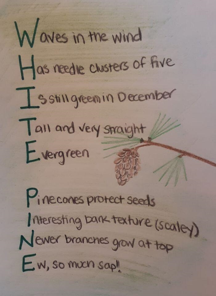 I need a naturalist acrostic ASAP!!!!-example-1