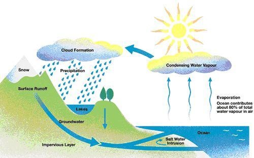 Choose all the answers that apply. Clouds: trap sunlight in the atmosphere cause precipitation-example-1